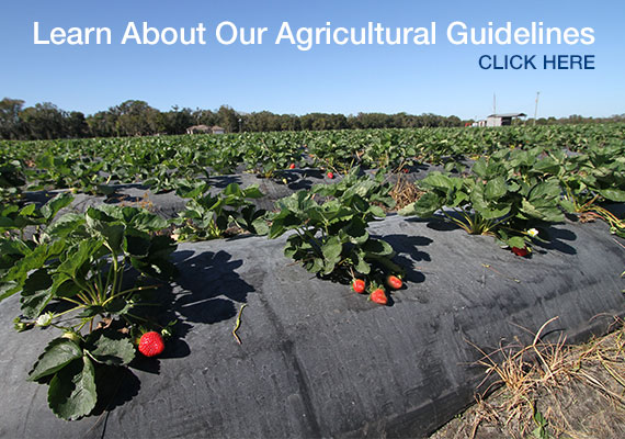 Agricultural guidelines - Click Here